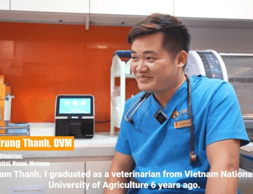 2 Week’s Work in 1 day: How Seamaty Helps Vietnam Animal Hospital Improve Efficiency